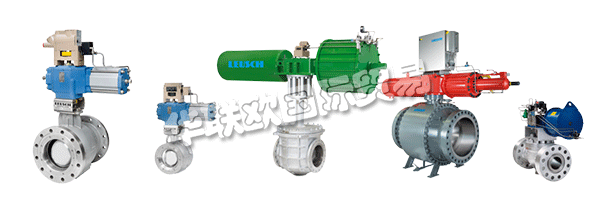 通過LEUSCH的生產(chǎn)計(jì)劃,客戶隨時了解其閥門的制造和測試過程。