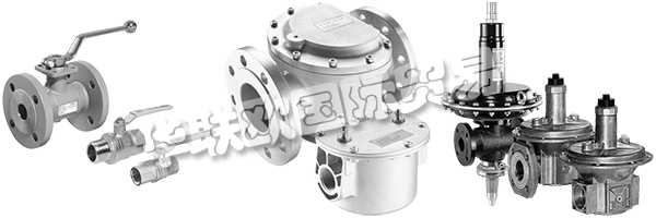 DUNGS是安全清潔氣體燃燒的同義詞，倡導與客戶緊密合作，