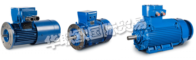 Regal成立于1954年,擁有CEMP?Srl,是意大利首批生產防爆防爆電機的公司之一。