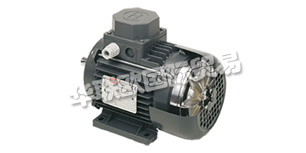 MOTORI BONORA成立于1945年,其業務逐步集中在異步電動機的生產上。    在這些年里,他們努力追隨市場的發展,加強他們制造商的使命,并高度重視產品和服務的質量。