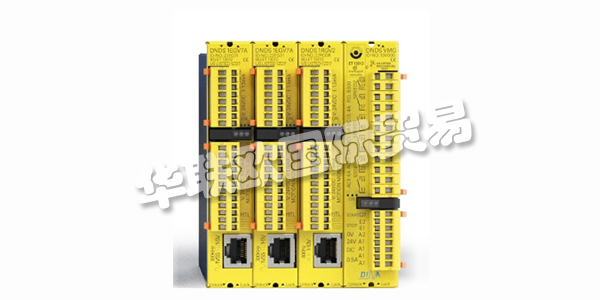 DINA，從友好的鄰里地下室創業到創新領導者。