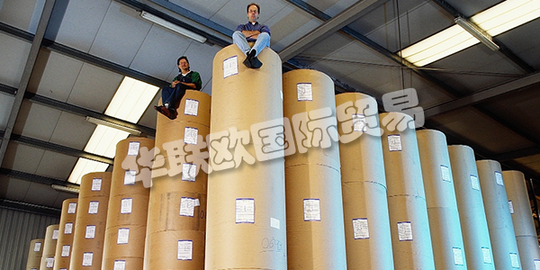 APV德國(guó)是歐洲卷材紙和柔性材料加工領(lǐng)域的領(lǐng)先公司之一。在客戶不斷變化的需求的推動(dòng)下，他們不斷努力改進(jìn)和完善他們的加工技術(shù)。這得到了密集投資計(jì)劃的支持。因此，他們實(shí)現(xiàn)了先前的機(jī)器擴(kuò)展和存儲(chǔ)容量的擴(kuò)展。2011年，Bramsche工廠新建了一個(gè)生產(chǎn)車(chē)間，為高科技，醫(yī)療技術(shù)和食品行業(yè)的客戶提供清潔和衛(wèi)生的特殊條件。