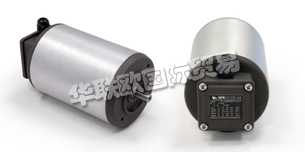 NERI MOTORI電機,NERI MOTORI變頻電機,意大利NERI MOTORI,意大利變頻電機,NERI MOTORI型號,NERI MOTORI變頻電機型號